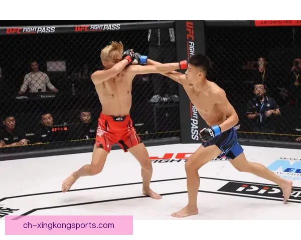 搏击实况:综合格斗精彩赛事直播 搏击实况:综合格斗精彩赛事直播