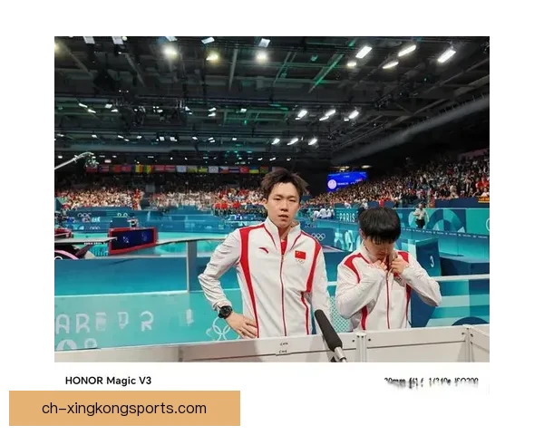 乒乓球冠军：无尽荣耀的传奇征程