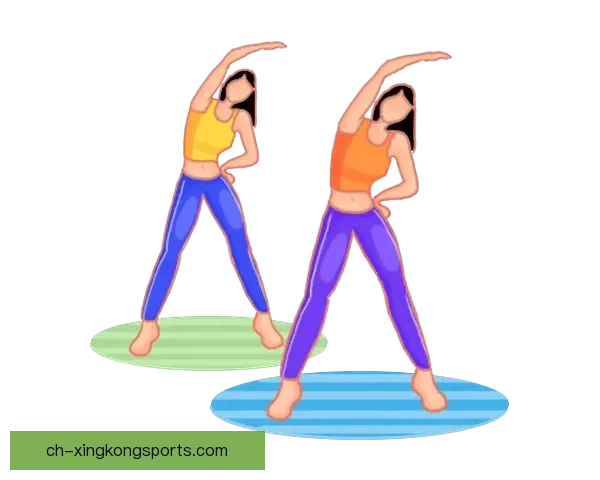 体操数据分析:解读动作优劣,挖掘潜力比较,助力训练提升 体操数据分析:解读动作优劣,挖掘潜力比较,助力训练提升