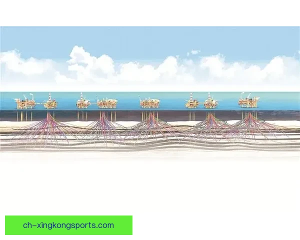 冲浪数据分析：潮起潮落，浪涌数据间