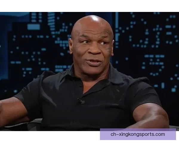 拳击界新风向：最受瞩目的世界拳王排名大揭秘