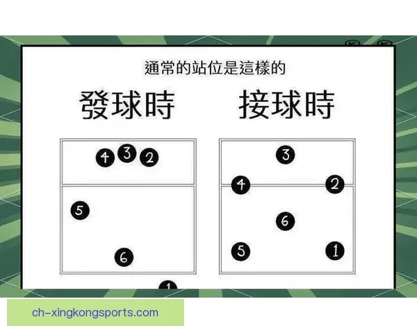 排球赛规则详解与技巧分享