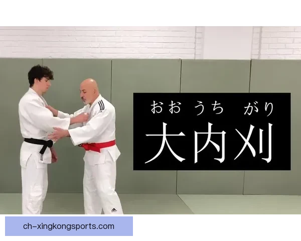 柔道投技精要：实战技巧解析