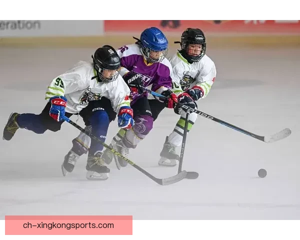 精彩瞬间回放:冰球赛事经典重现 精彩瞬间回放:冰球赛事经典重现