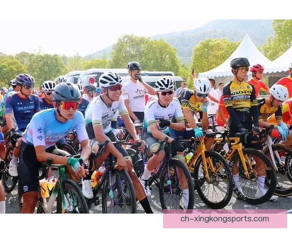 骑行风云：挑战速度与激情的自行车联赛